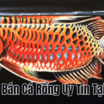 Địa Chỉ Học May Uy Tín Tại TPHCM Tay Nghề Cao
